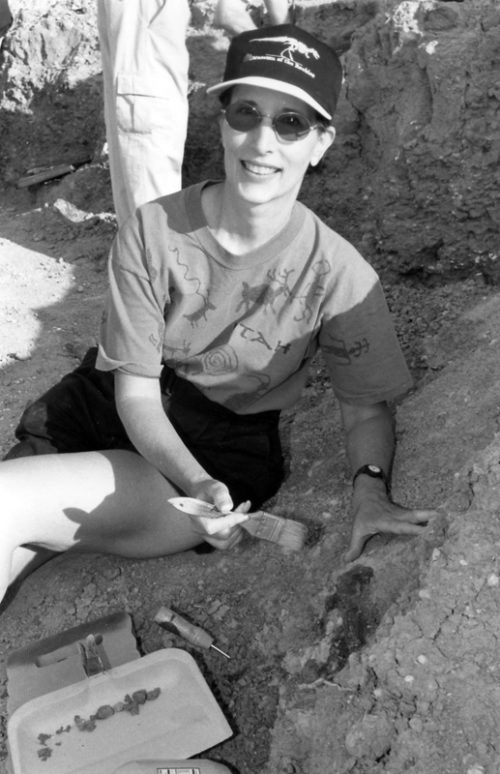 archaeologist digging dinosaur bones